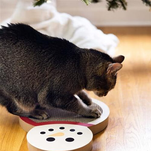 Pearhead Snowman Cat Scratch Pad