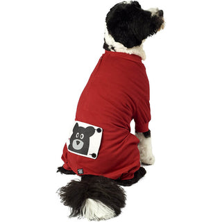 Petrageous Teddy Bear PJs