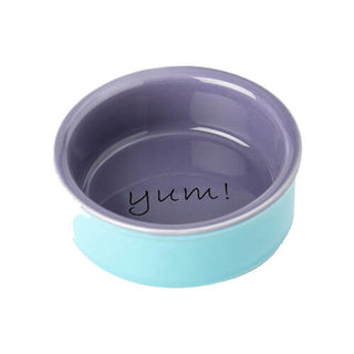 Petrageous Yummy Time! Small Animal Bowl