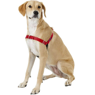 PetSafe Easy Walk Black/Silver