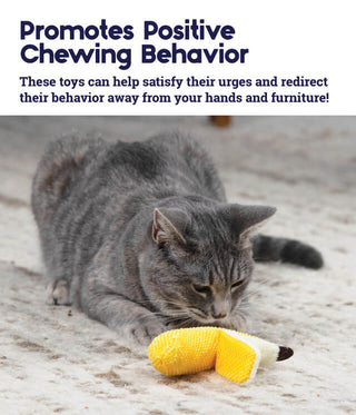 Petstages Banana Dental Catnip Toy