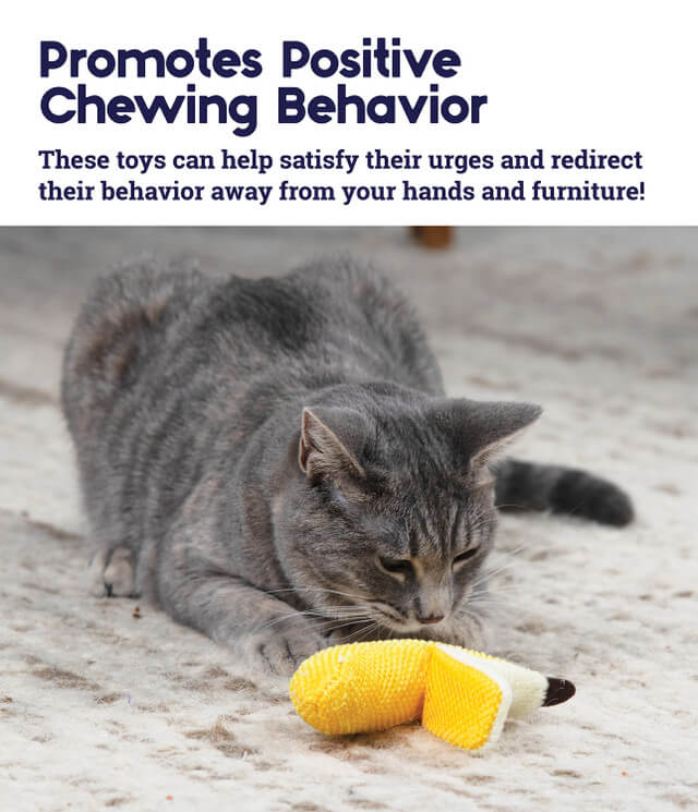 Petstages Banana Dental Catnip Toy