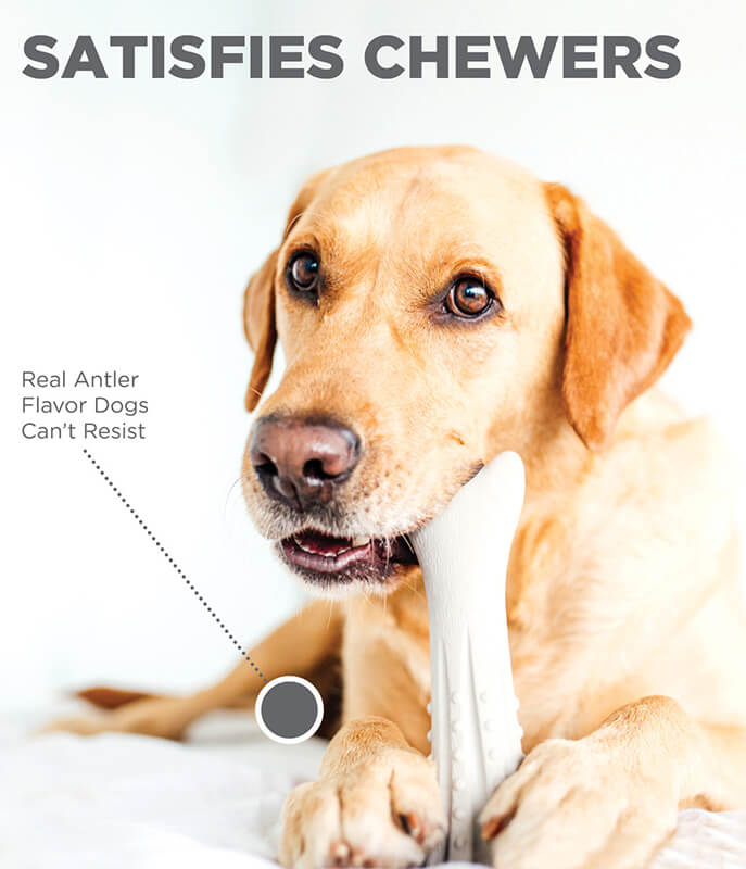 Petstages Deer Horn Chew