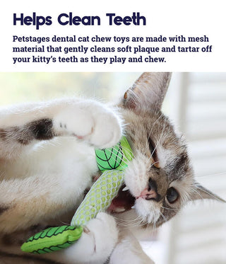 Catstages Mint Stick Dental Chew Toy