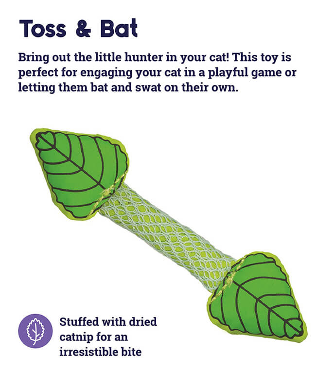 Catstages Mint Stick Dental Chew Toy