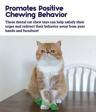 Catstages Mint Stick Dental Chew Toy