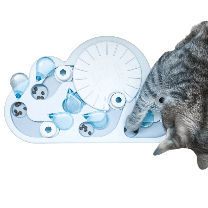 Petstages Rainy Day Puzzle & Play Cat Treat Puzzle
