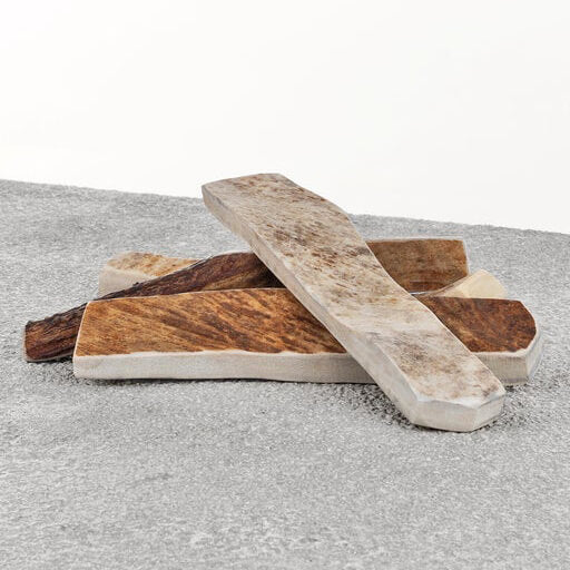 Primal Moose Antler