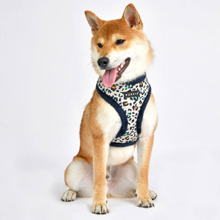 Puppia Elyse Harness A