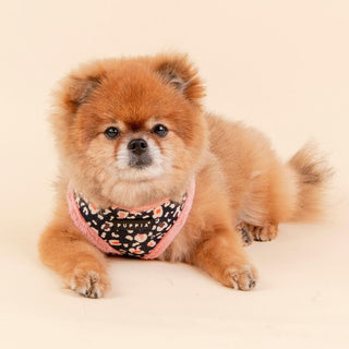 Puppia Elyse Harness A