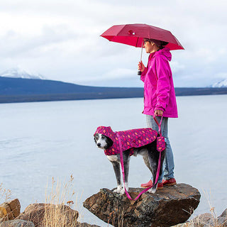 RC Pets Packable Poncho Paper Planes