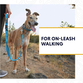 Ruffwear Web Reaction Martingale Collar With Buckle