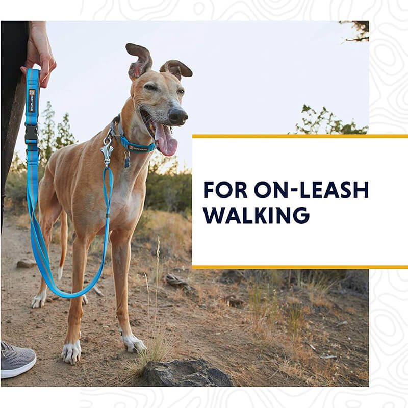 Ruffwear Web Reaction Martingale Collar With Buckle