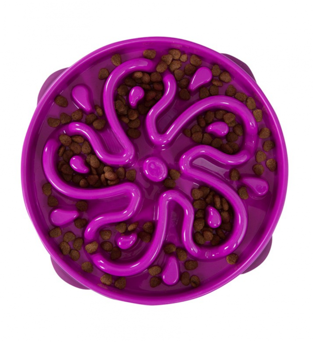 Outward Hound Fun Feeder Slo Bowl Flower Purple