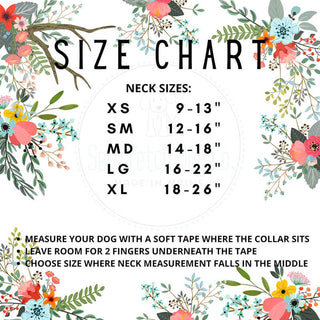 Sew Fetch Collar Boho Rainbows