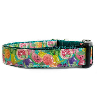 Sew Fetch Collar Fruit Salad Watercolor