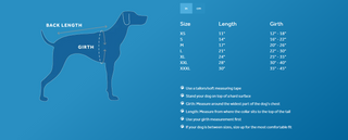 RC Pets Packable Poncho Paper Planes
