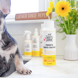 Skout's Honor Probiotic Shampoo + Conditioner  Honeysuckle