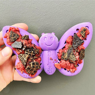 Soda Pup Nylon Purple Butterfly Chew & Enrichment Toy