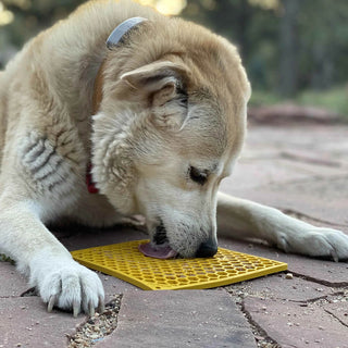 Sodapup Lick Mat Honeycomb