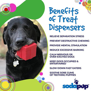 SodaPup Treat Dispenser Holiday Gift Box Chew Toy