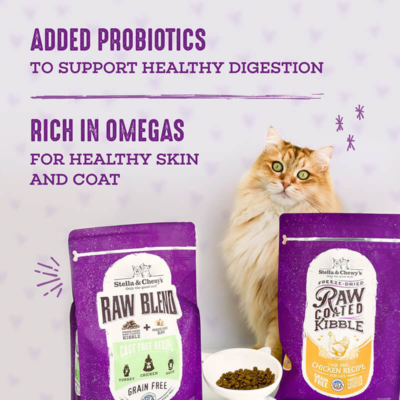 Stella & Chewy's Cat Raw Blend Wild Caught