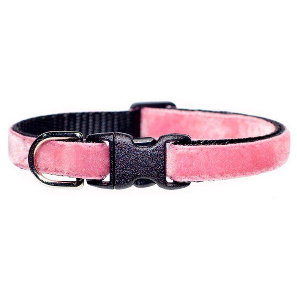 Sweet Pickles Designs Cat Collar The Ballerina