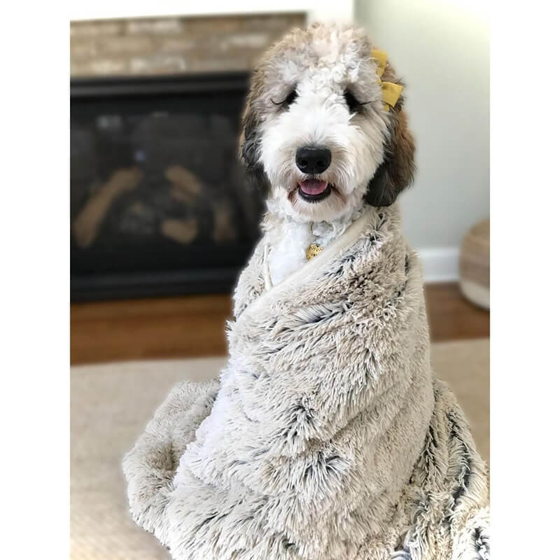 Tall Tails Dream Chaser Waterproof Blanket