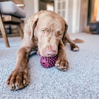 Tall Tails Natural Rubber Pinecone Toy
