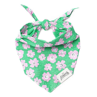 The Paws Bandana - Ziggy