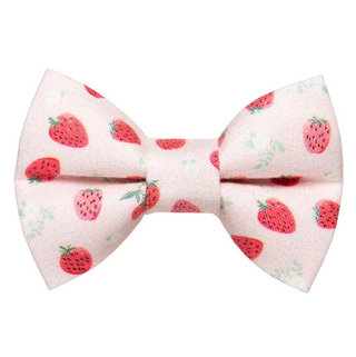 Sweet Pickles Designs Bow Tie The Shortcake