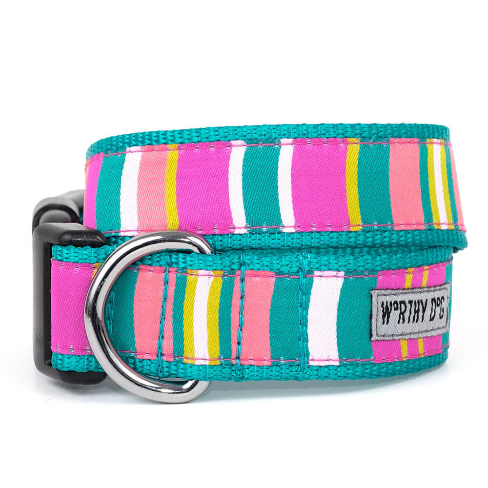 The Worthy Dog Fiesta Stripe Collar
