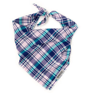 The Worthy Dog Madras Plaid Navy/Pink/Turquoise Classic Bandana