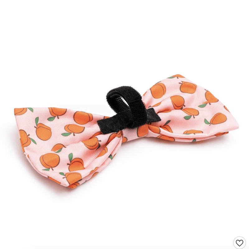 The Worthy Dog Bow Tie Peachy Keen