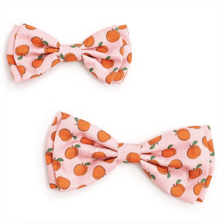 The Worthy Dog Bow Tie Peachy Keen