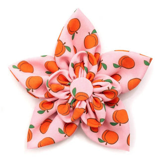 The Worthy Dog Flower Peachy Keen