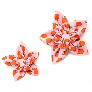 The Worthy Dog Flower Peachy Keen