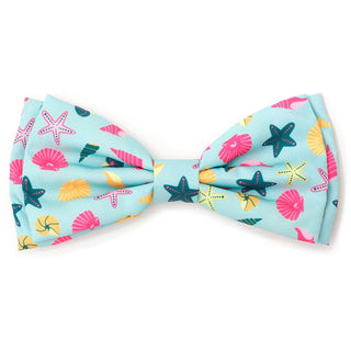 The Worthy Dog Bow Tie Seashells