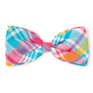 The Worthy Dog Turquoise/Pink/Multi Madras Plaid Bow Tie