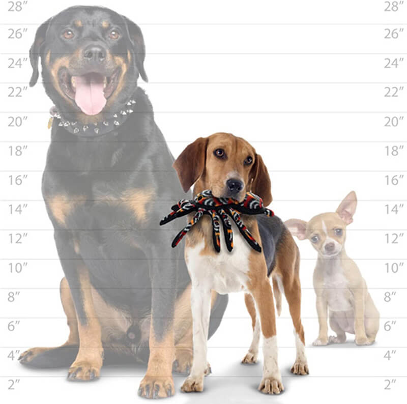 Tuffy® Desert Tarantula