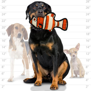 Tuffy® Ocean Fish