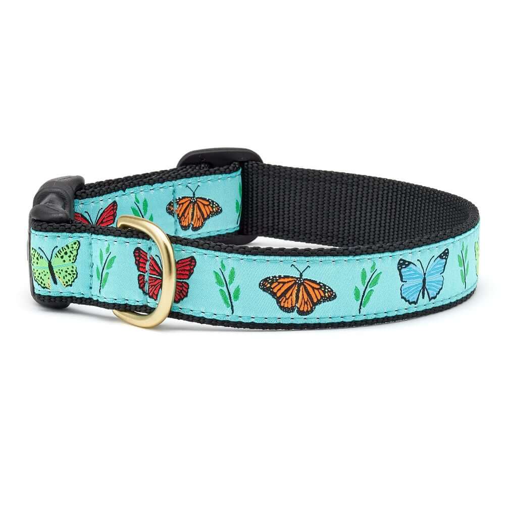 Up Country Butterfly Effect Collar
