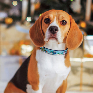 Up Country Collar City Christmas