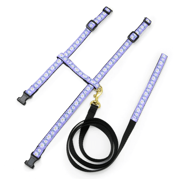 Up Country Cat Harness & Lead Set Daisy