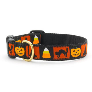 Up Country Halloween Collar