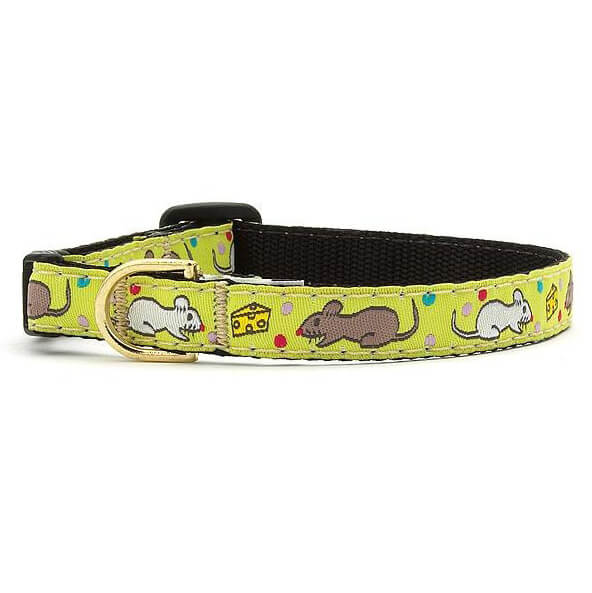 Up Country Say Cheese Cat Collar