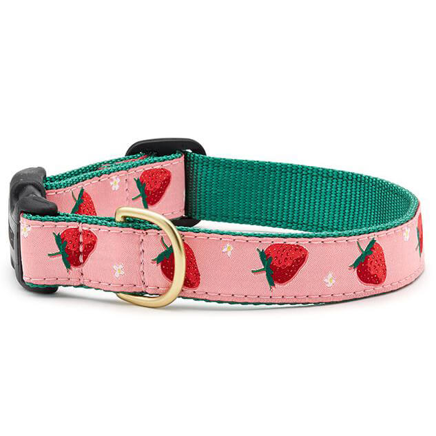 Up Country Strawberry Fields Collar