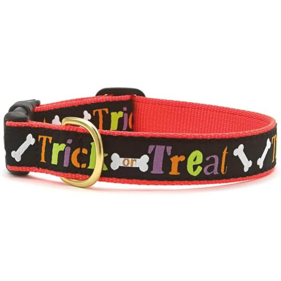 Up Country Collar Trick or Treat