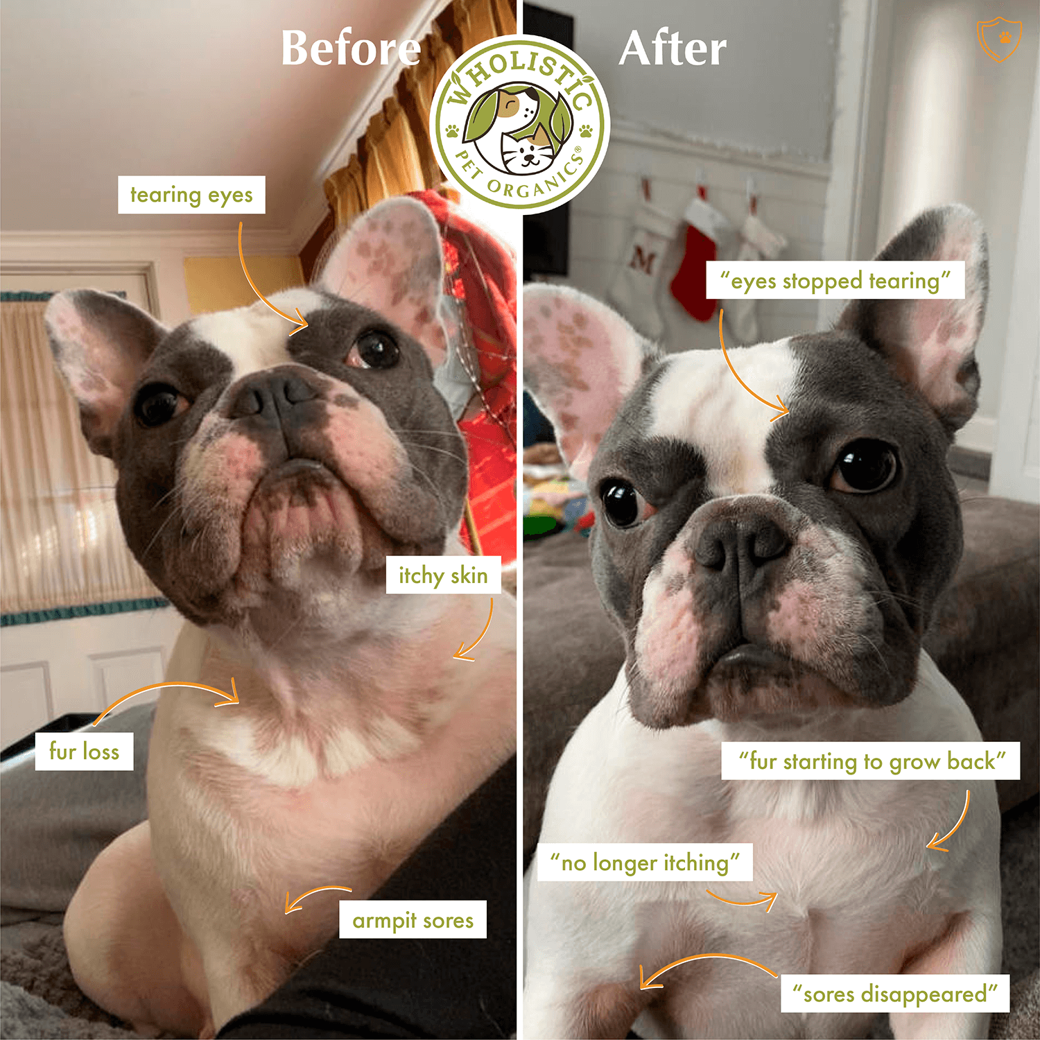 Wholistic Pet Organics Pure Colostrum