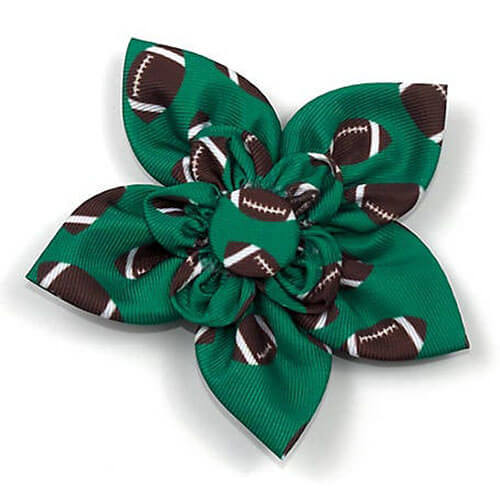 Worthy Dog Football Flower